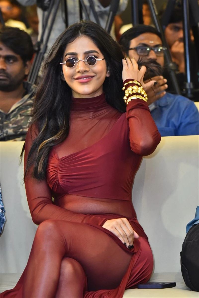 Telugu Actress Nabha Natesh in Maroon Dress